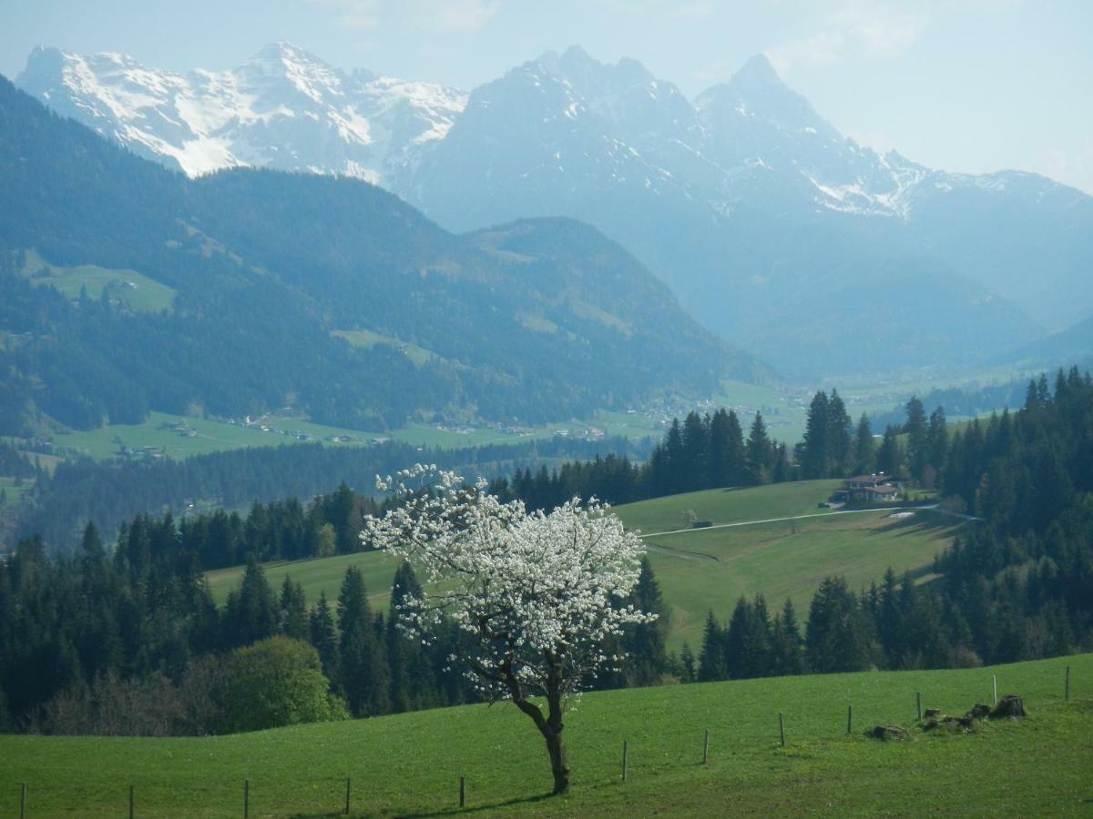 Ferienwohnung Baerfeld ฟีบาบรุนน์ ภายนอก รูปภาพ